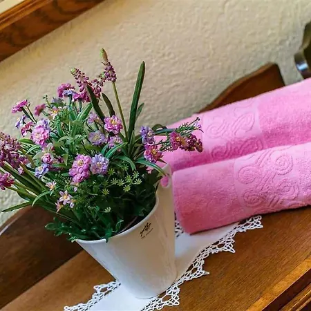 别墅 In 39096 Drivenik